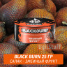 Табак Black Burn 25 гр Salak (Ананас Банан Орех) Табак Black Burn 25 гр Salak (Ананас Банан Орех)
