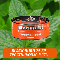 Табак Black Burn 25 гр Cane Mint (Тростниковая мята)
