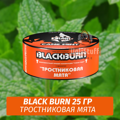 Табак Black Burn 25 гр Cane Mint (Тростниковая мята) Табак Black Burn 25 гр Cane Mint (Тростниковая мята)