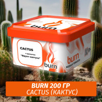 Табак Burn 200 гр Cactus (Кактус)