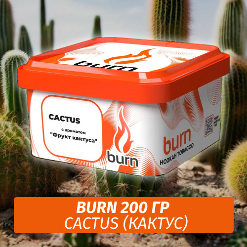 Табак Burn 200 гр Cactus (Кактус)