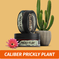 Табак Caliber Prickly Plant (Кактус) 150 гр