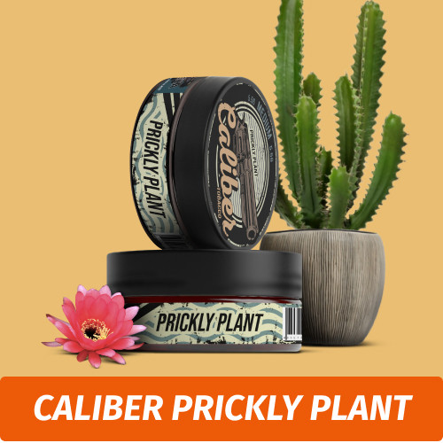 Табак Caliber Prickly Plant (Кактус) 150 гр