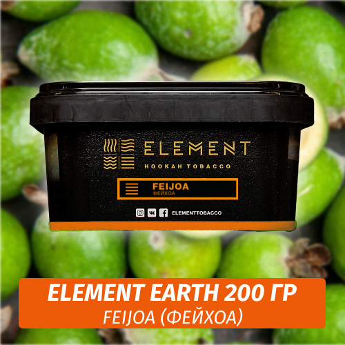 Табак Element Earth 200 гр Feijoa