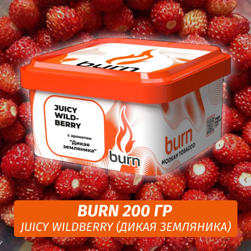 Табак Burn 200 гр Juicy Wildberry (Дикая Земляника)