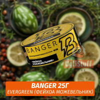 Табак Banger ft Timoti 25 гр Evergreen (Фейхоа Можевельник)