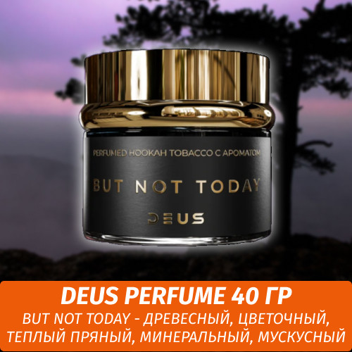 Табак Deus Perfume 40 гр - But not today Табак Deus Perfume 40 гр - But not today