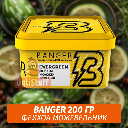 Табак Banger ft Timoti 200 гр Evergreen (Фейхоа Можевельник) Табак Banger ft Timoti 200 гр Evergreen (Фейхоа Можевельник)