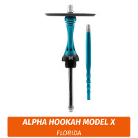 Кальян Alpha Hookah Model X Florida
