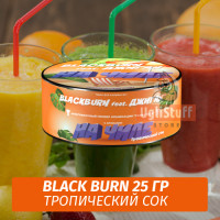 Табак Black Burn 25 гр На Чиле (Тропический Сок) feat Джиган