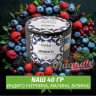 Табак Naш - Индиго / Черника, Малина, Бузина (40г) Табак Naш - Индиго / Черника, Малина, Бузина (40г)