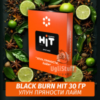 Табак Black Burn HiT 30г Spicy Jazz (Улун, Пряности, Лайм)