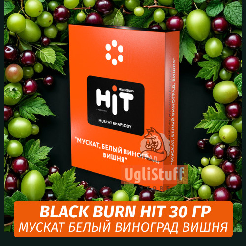 Табак Black Burn HiT 30г Muscat Rhapsody (Мускат, Белый Виноград, Вишня) Табак Black Burn HiT 30г Muscat Rhapsody (Мускат, Белый Виноград, Вишня)