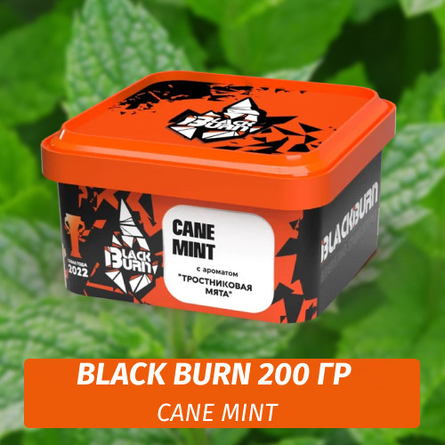 Табак Black Burn 200 гр Cane Mint (Тростниковая мята) Табак Black Burn 200 гр Cane Mint (Тростниковая мята)