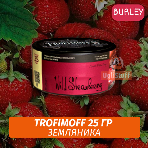 Табак для кальяна Trofimoff Burley - Wild Strawberry (Земляника) 25 гр Табак для кальяна Trofimoff Burley - Wild Strawberry (Земляника) 25 гр