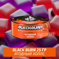 NEW Табак Black Burn 25 гр Berry Halls (Ягодный Холс)