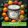 Табак Naш - Оазис (40г)
