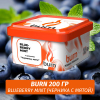 Табак Burn 200 гр Blueberry Mint (Черника с мятой)