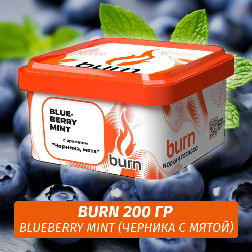 Табак Burn 200 гр Blueberry Mint (Черника с мятой)