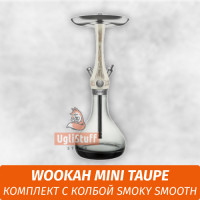 Кальян Wookah Mini Taupe (Комплект с колбой Smoky Smooth)